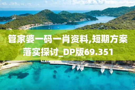 管家婆一码一肖资料,短期方案落实探讨_DP版69.351