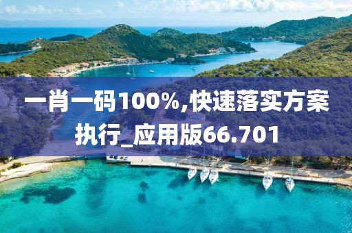 一肖一码100%,快速落实方案执行_应用版66.701