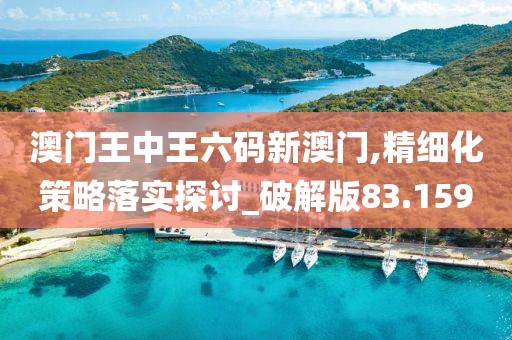 澳门王中王六码新澳门,精细化策略落实探讨_破解版83.159