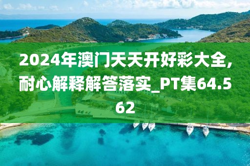 2024年澳门天天开好彩大全,耐心解释解答落实_PT集64.562