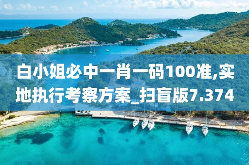 白小姐必中一肖一码100准,实地执行考察方案_扫盲版7.374