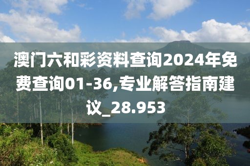 澳门六和彩资料查询2024年免费查询01-36,专业解答指南建议_28.953