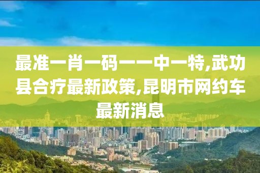 最准一肖一码一一中一特,武功县合疗最新政策,昆明市网约车最新消息