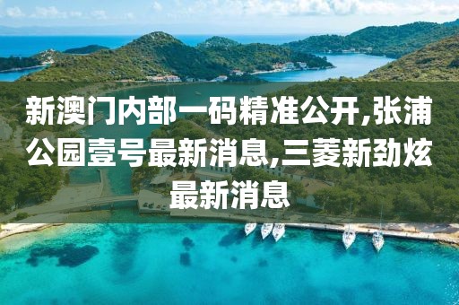 新澳门内部一码精准公开,张浦公园壹号最新消息,三菱新劲炫最新消息