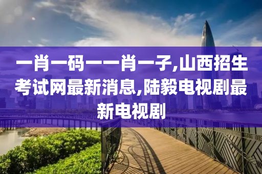 一肖一码一一肖一子,山西招生考试网最新消息,陆毅电视剧最新电视剧