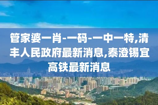 管家婆一肖-一码-一中一特,清丰人民政府最新消息,泰澄锡宜高铁最新消息