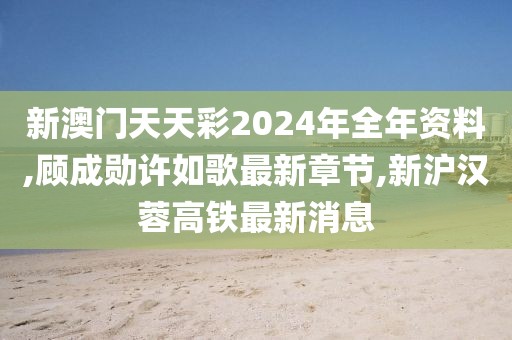 新澳门天天彩2024年全年资料,顾成勋许如歌最新章节,新沪汉蓉高铁最新消息