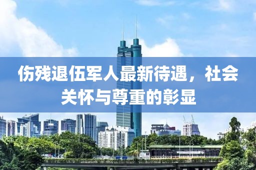 伤残退伍军人最新待遇，社会关怀与尊重的彰显