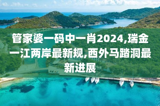 管家婆一码中一肖2024,瑞金一江两岸最新规,西外马踏洞最新进展