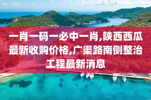 一肖一码一必中一肖,陕西西瓜最新收购价格,广渠路南侧整治工程最新消息