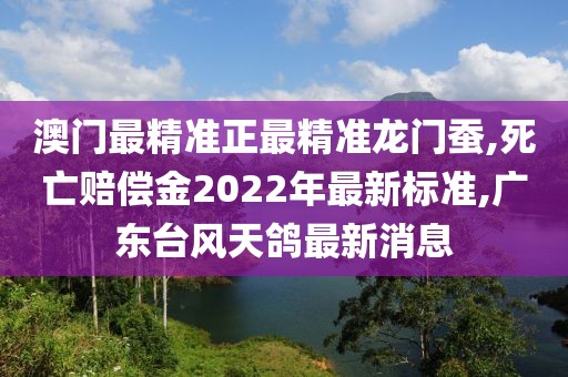 澳门最精准正最精准龙门蚕,死亡赔偿金2022年最新标准,广东台风天鸽最新消息