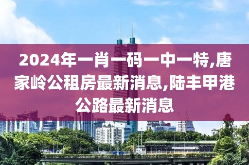 2024年一肖一码一中一特,唐家岭公租房最新消息,陆丰甲港公路最新消息