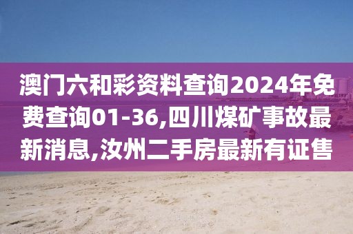 澳门六和彩资料查询2024年免费查询01-36,四川煤矿事故最新消息,汝州二手房最新有证售