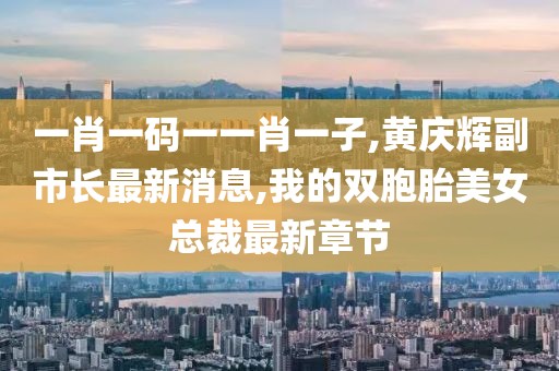 一肖一码一一肖一子,黄庆辉副市长最新消息,我的双胞胎美女总裁最新章节