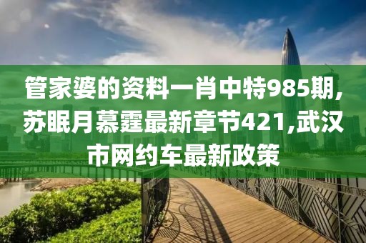 管家婆的资料一肖中特985期,苏眠月慕霆最新章节421,武汉市网约车最新政策