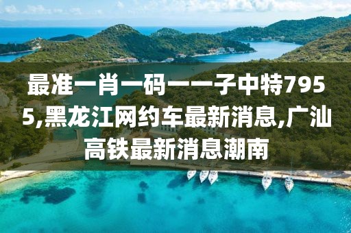 最准一肖一码一一子中特7955,黑龙江网约车最新消息,广汕高铁最新消息潮南