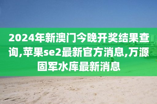 2024年11月15日 第32页