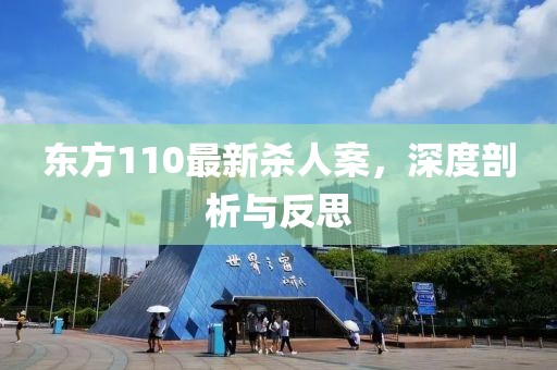 东方110最新杀人案，深度剖析与反思