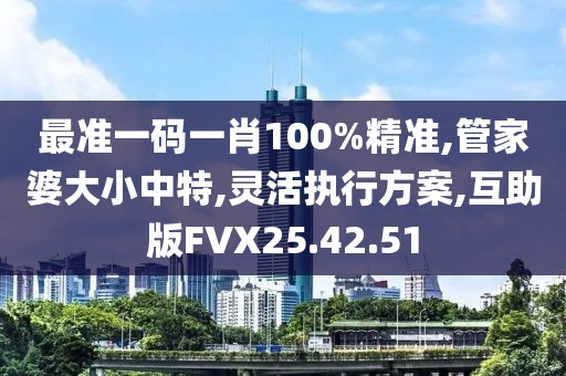 最准一码一肖100%精准,管家婆大小中特,灵活执行方案,互助版FVX25.42.51