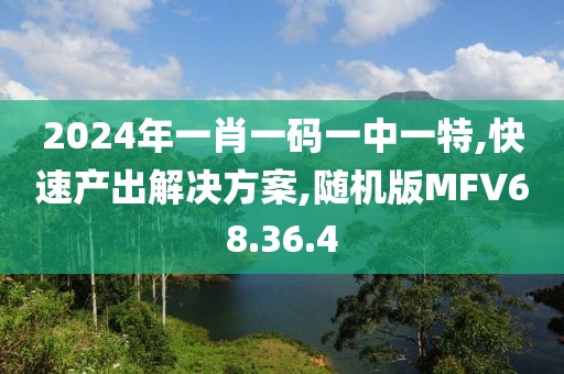 2024年一肖一码一中一特,快速产出解决方案,随机版MFV68.36.4