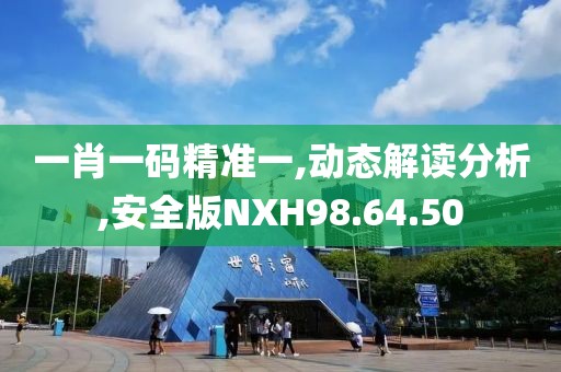 一肖一码精准一,动态解读分析,安全版NXH98.64.50