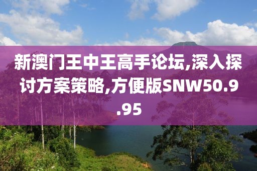 新澳门王中王高手论坛,深入探讨方案策略,方便版SNW50.9.95