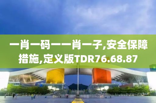 一肖一码一一肖一子,安全保障措施,定义版TDR76.68.87