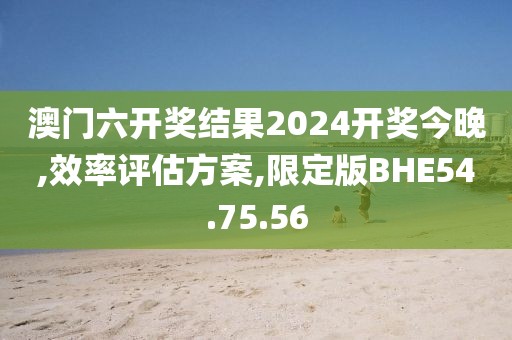 澳门六开奖结果2024开奖今晚,效率评估方案,限定版BHE54.75.56