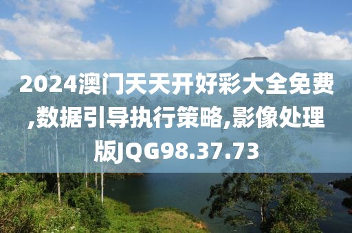 2024澳门天天开好彩大全免费,数据引导执行策略,影像处理版JQG98.37.73