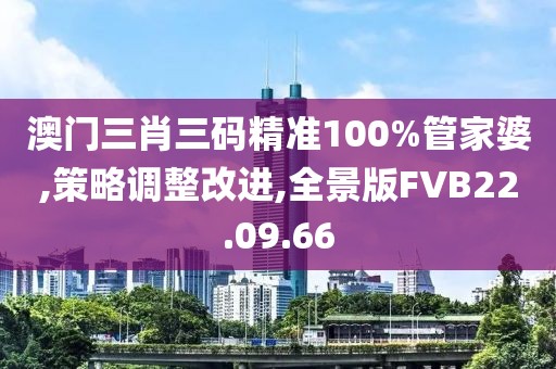 澳门三肖三码精准100%管家婆,策略调整改进,全景版FVB22.09.66