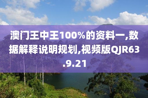 澳门王中王100%的资料一,数据解释说明规划,视频版QJR63.9.21