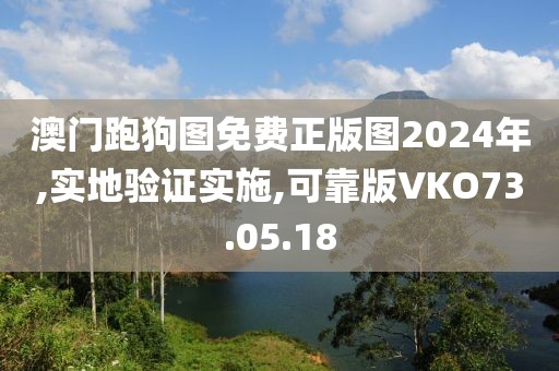 澳门跑狗图免费正版图2024年,实地验证实施,可靠版VKO73.05.18