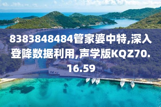 8383848484管家婆中特,深入登降数据利用,声学版KQZ70.16.59