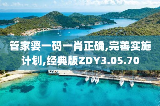 管家婆一码一肖正确,完善实施计划,经典版ZDY3.05.70