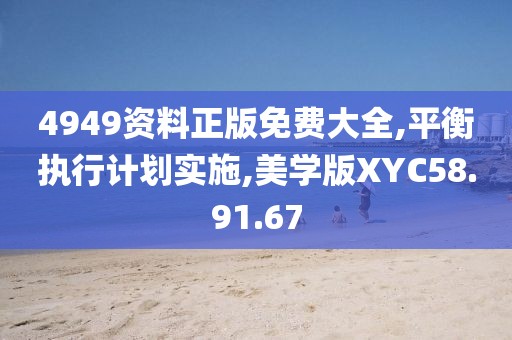 4949资料正版免费大全,平衡执行计划实施,美学版XYC58.91.67