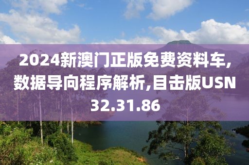 2024新澳门正版免费资料车,数据导向程序解析,目击版USN32.31.86