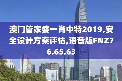 澳门管家婆一肖中特2019,安全设计方案评估,语音版FNZ76.65.63