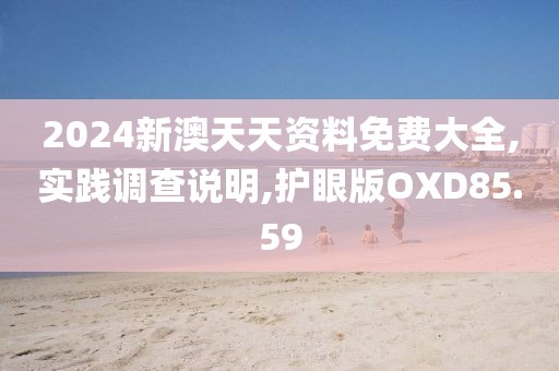 2024新澳天天资料免费大全,实践调查说明,护眼版OXD85.59