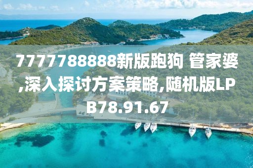 7777788888新版跑狗 管家婆,深入探讨方案策略,随机版LPB78.91.67