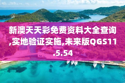 新澳天天彩免费资料大全查询,实地验证实施,未来版QGS11.5.54