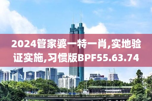 2024管家婆一特一肖,实地验证实施,习惯版BPF55.63.74