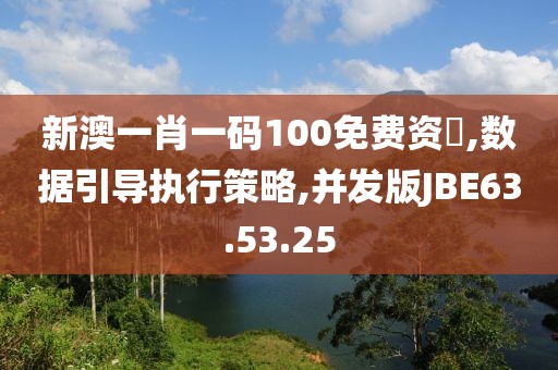 新澳一肖一码100免费资枓,数据引导执行策略,并发版JBE63.53.25