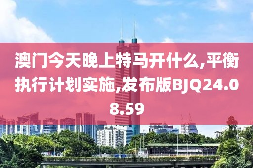 澳门今天晚上特马开什么,平衡执行计划实施,发布版BJQ24.08.59