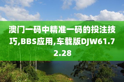 澳门一码中精准一码的投注技巧,BBS应用,车载版DJW61.72.28