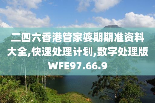 二四六香港管家婆期期准资料大全,快速处理计划,数字处理版WFE97.66.9