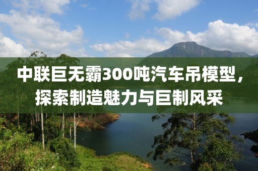 中联300吨汽车吊模型