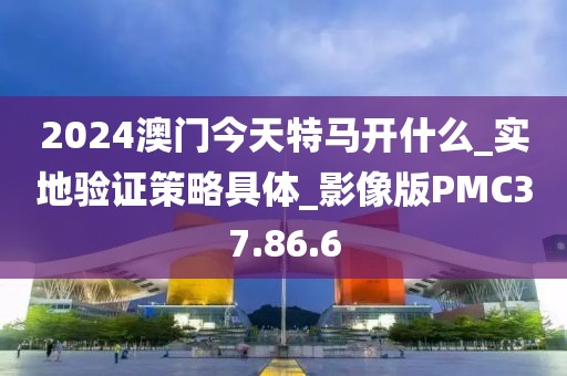 2024澳门今天特马开什么_实地验证策略具体_影像版PMC37.86.6