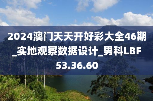 2024澳门天天开好彩大全46期_实地观察数据设计_男科LBF53.36.60