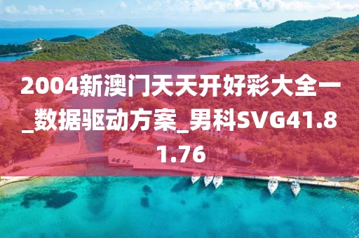 2004新澳门天天开好彩大全一_数据驱动方案_男科SVG41.81.76