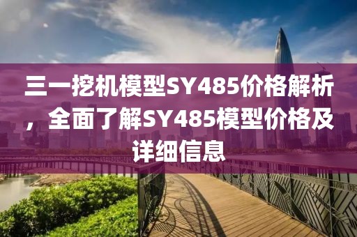 三一挖机模型sy485多少钱呀